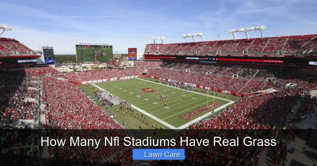 How Many Nfl Stadiums Have Real Grass