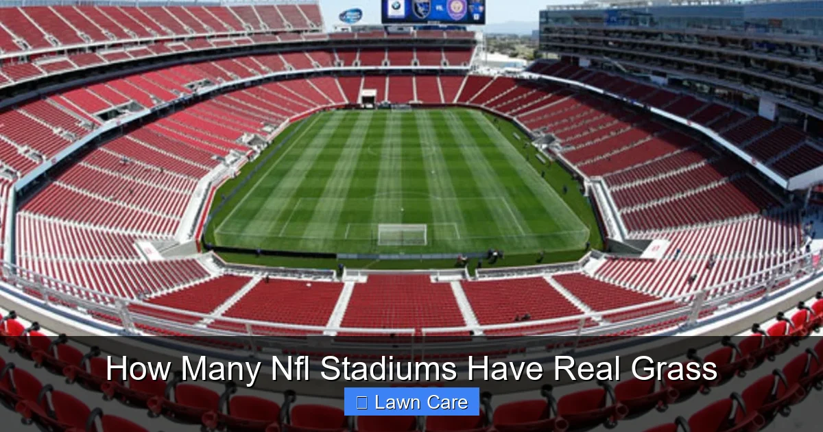 How Many Nfl Stadiums Have Real Grass