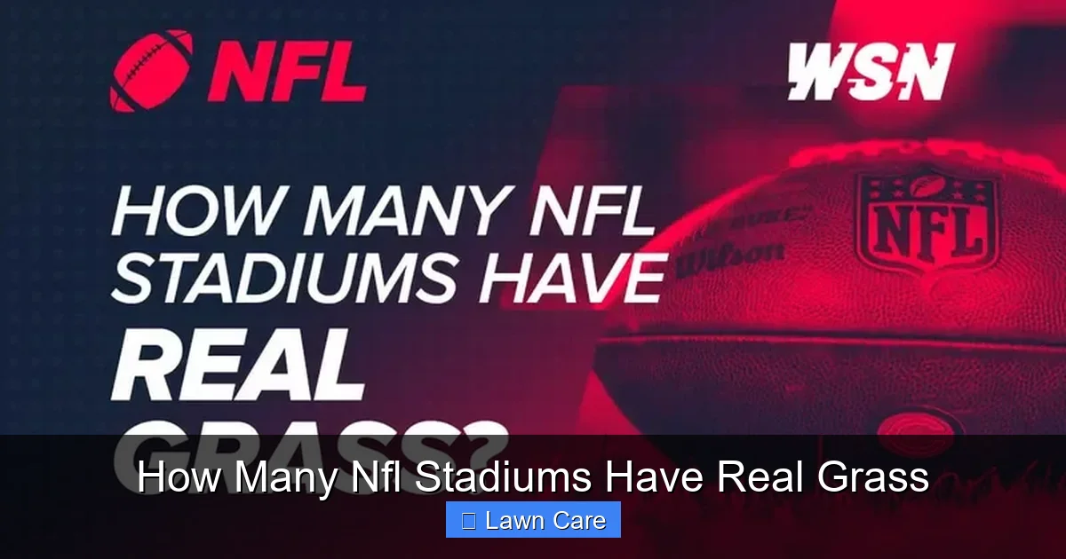 How Many Nfl Stadiums Have Real Grass