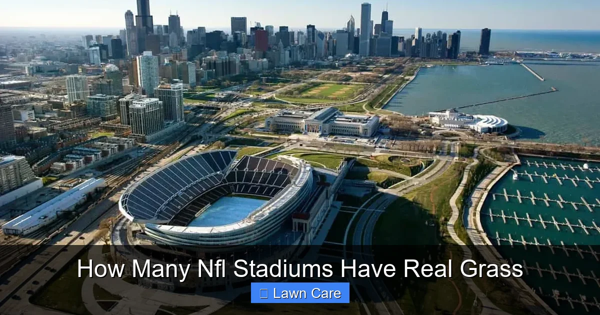 How Many Nfl Stadiums Have Real Grass