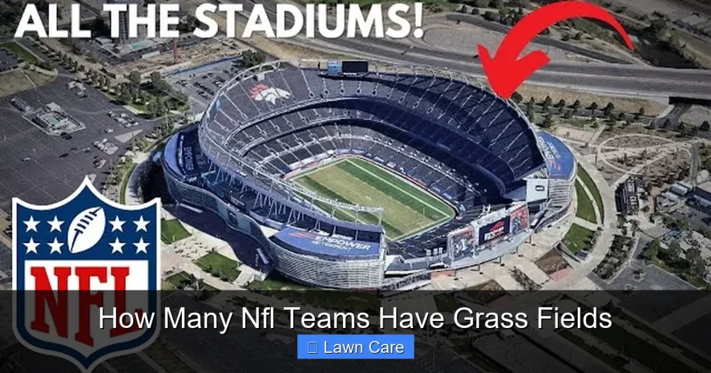 How Many Nfl Teams Have Grass Fields