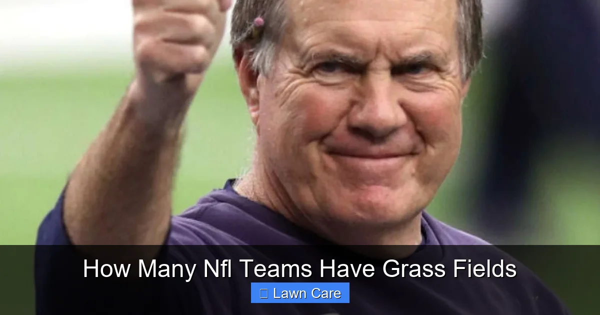 How Many Nfl Teams Have Grass Fields