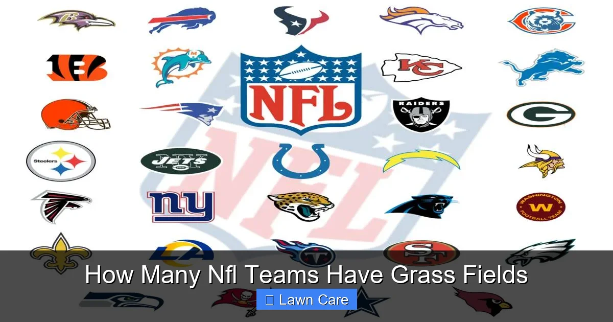 How Many Nfl Teams Have Grass Fields