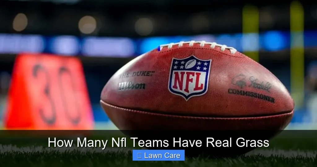How Many Nfl Teams Have Real Grass