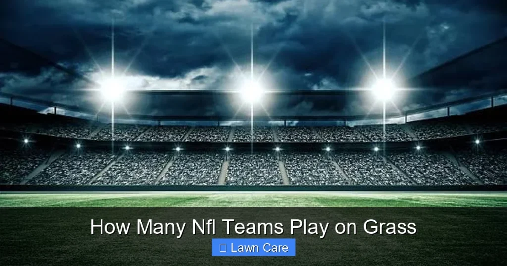How Many Nfl Teams Play on Grass