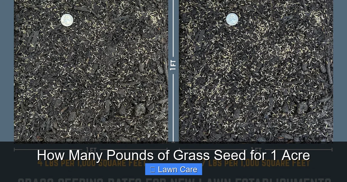 How Many Pounds of Grass Seed for 1 Acre