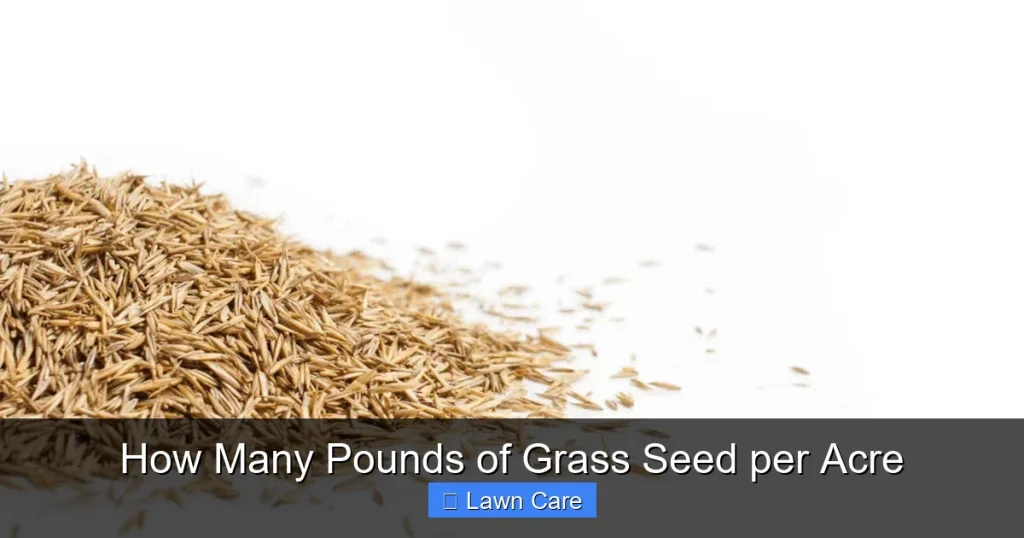 How Many Pounds of Grass Seed per Acre