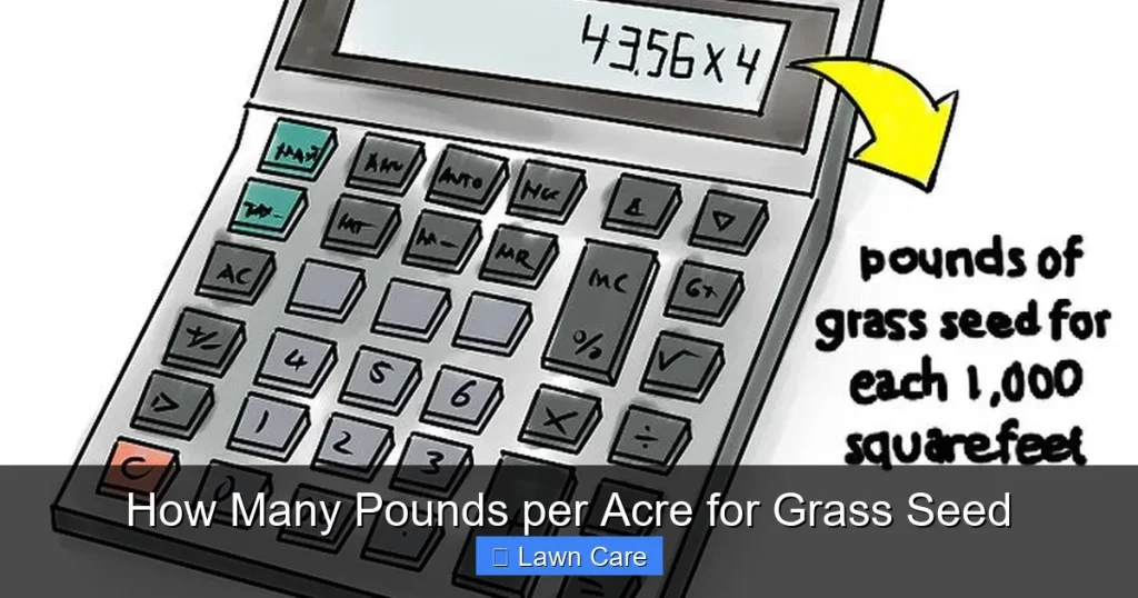 How Many Pounds per Acre for Grass Seed