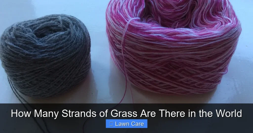 How Many Strands of Grass Are There in the World