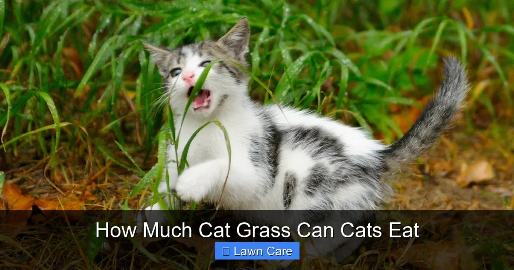 How Much Cat Grass Can Cats Eat