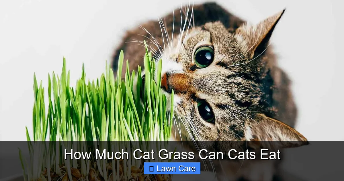 How Much Cat Grass Can Cats Eat