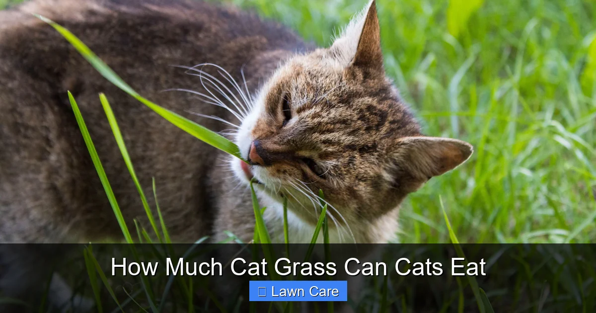 How Much Cat Grass Can Cats Eat