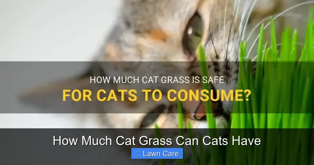 How Much Cat Grass Can Cats Have