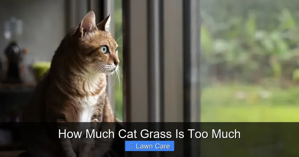 How Much Cat Grass Is Too Much