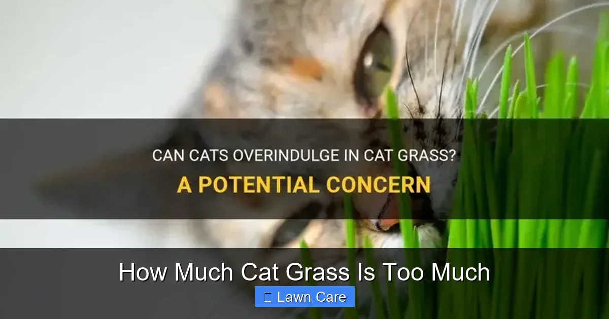 How Much Cat Grass Is Too Much
