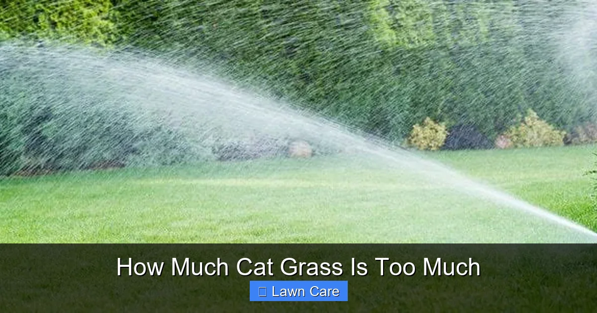 How Much Cat Grass Is Too Much