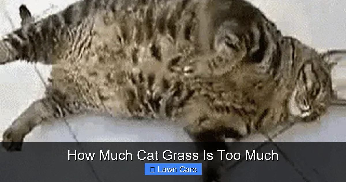 How Much Cat Grass Is Too Much