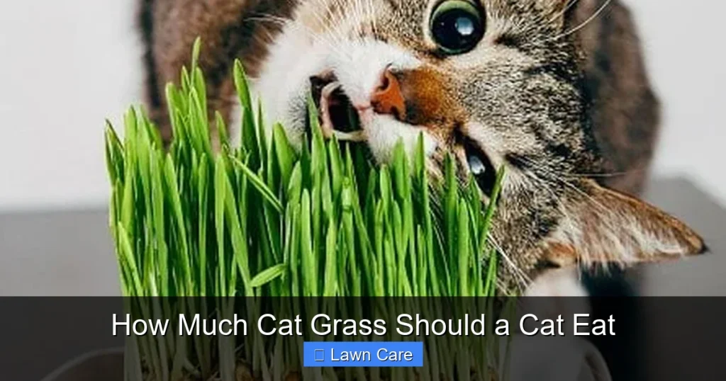 How Much Cat Grass Should a Cat Eat