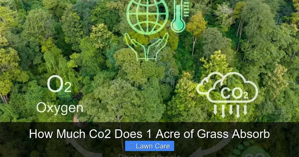 How Much Co2 Does 1 Acre of Grass Absorb