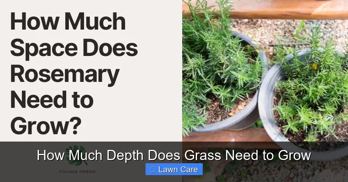 How Much Depth Does Grass Need to Grow