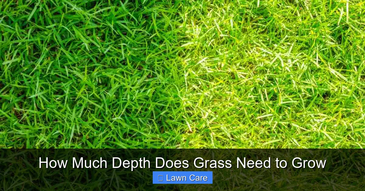 How Much Depth Does Grass Need to Grow