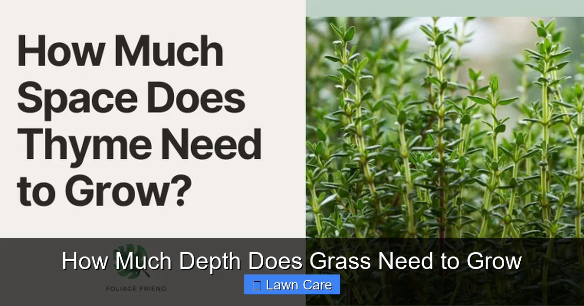 How Much Depth Does Grass Need to Grow