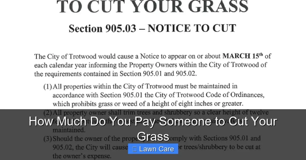How Much Do You Pay Someone to Cut Your Grass