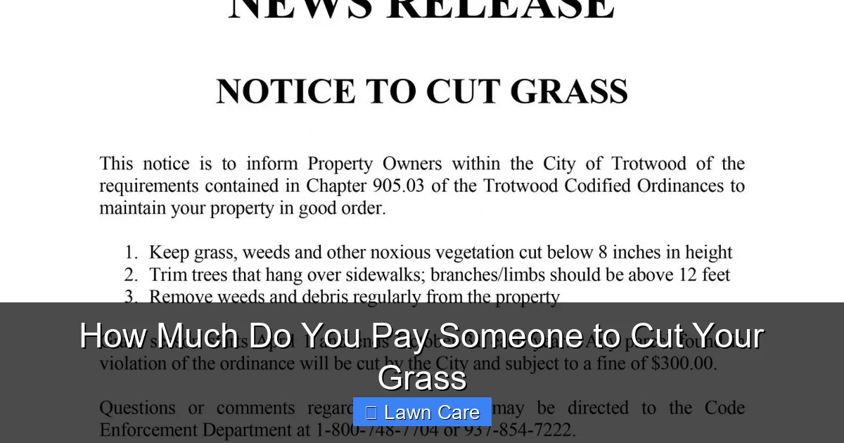 How Much Do You Pay Someone to Cut Your Grass