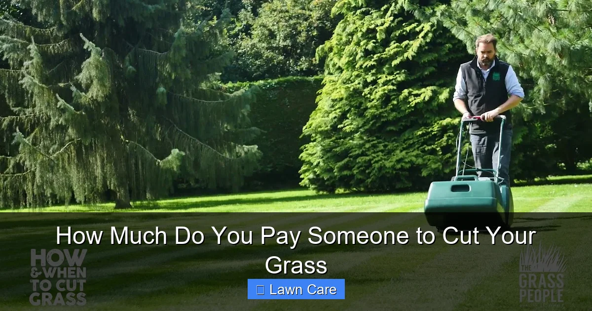 How Much Do You Pay Someone to Cut Your Grass