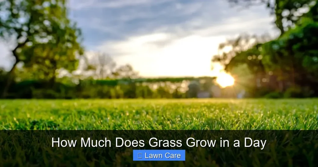 How Much Does Grass Grow in a Day