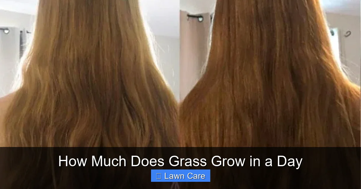 How Much Does Grass Grow in a Day