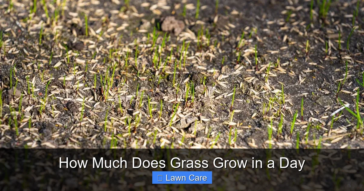 How Much Does Grass Grow in a Day