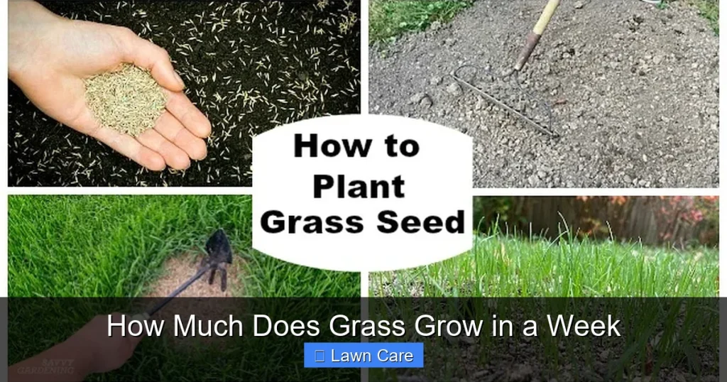 How Much Does Grass Grow in a Week