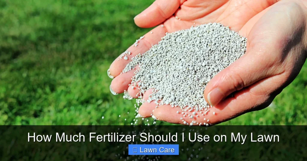 How Much Fertilizer Should I Use on My Lawn