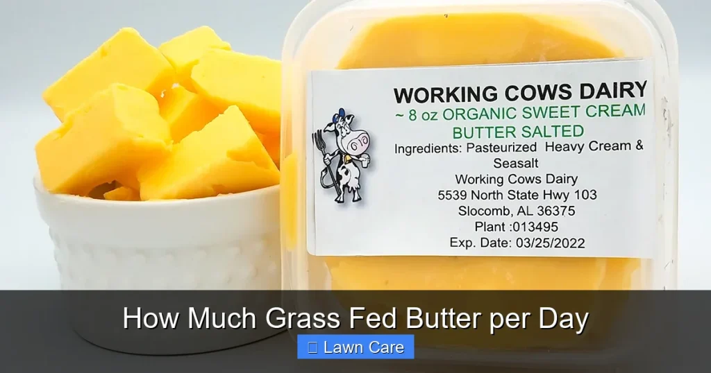 How Much Grass Fed Butter per Day