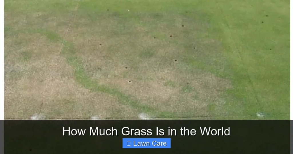 How Much Grass Is in the World