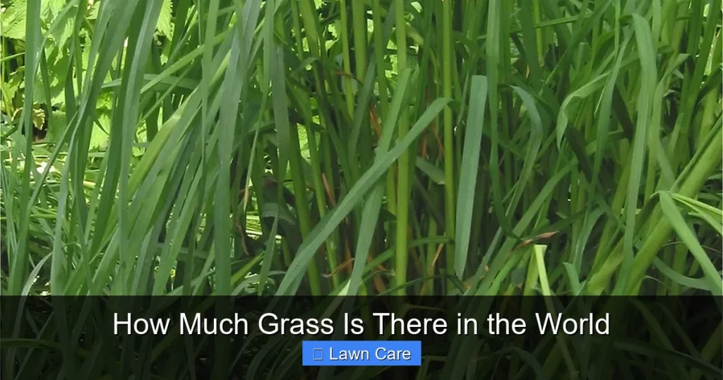 How Much Grass Is There in the World