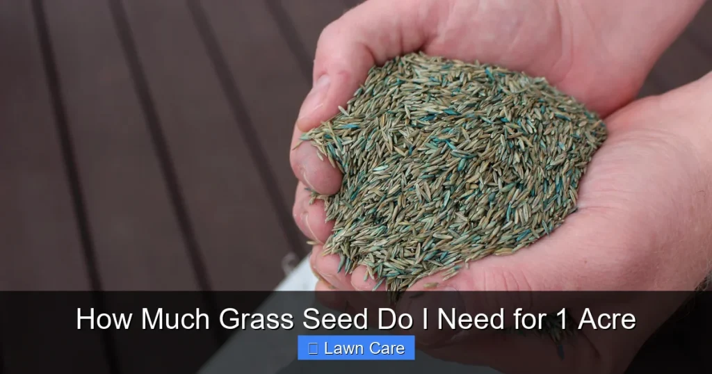 How Much Grass Seed Do I Need for 1 Acre