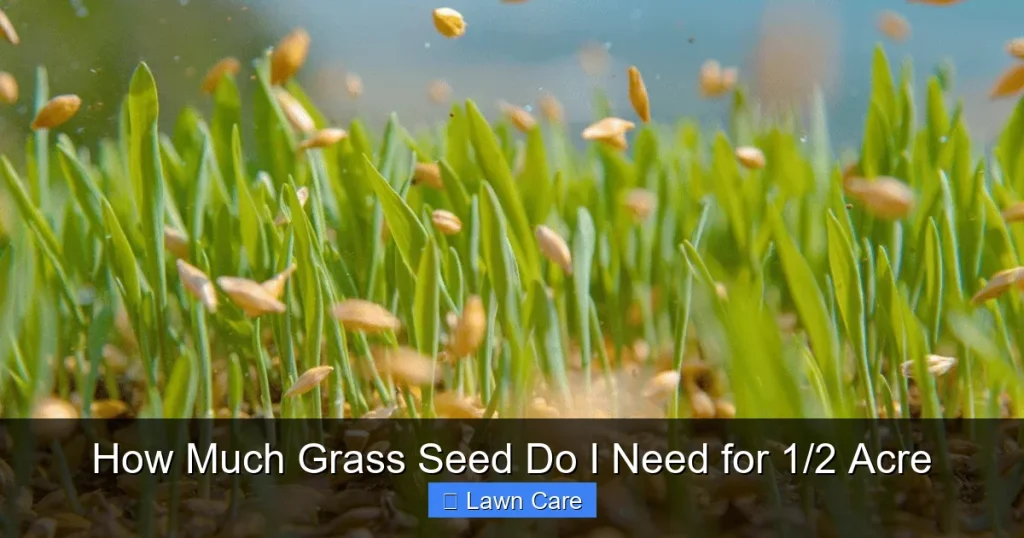 How Much Grass Seed Do I Need for 1/2 Acre