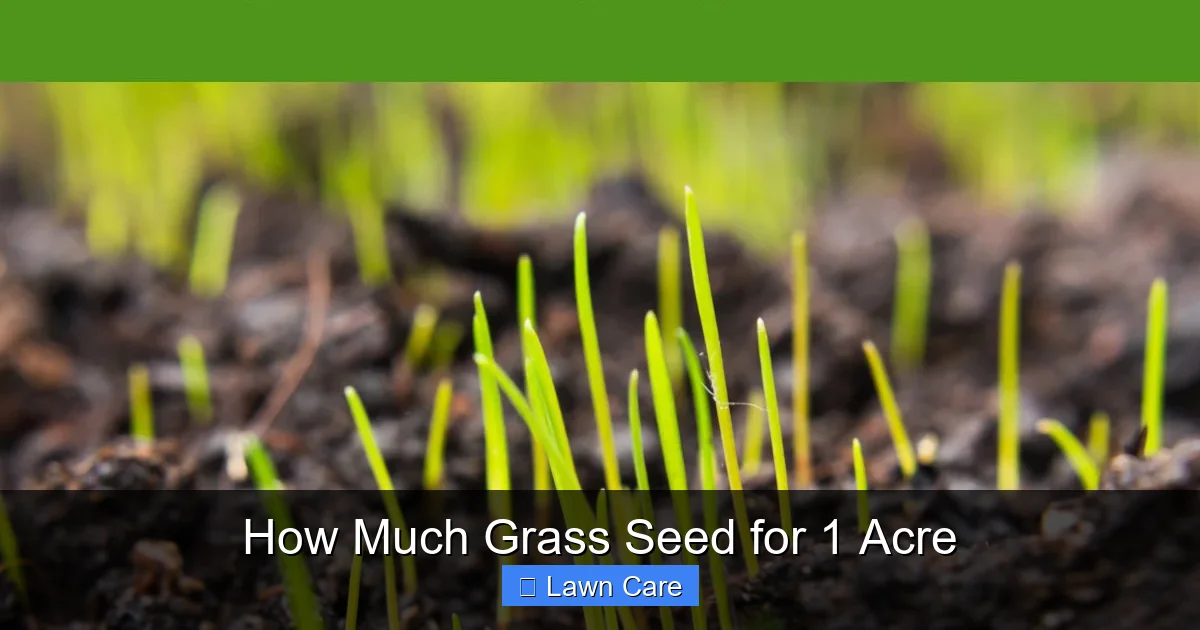 How Much Grass Seed for 1 Acre