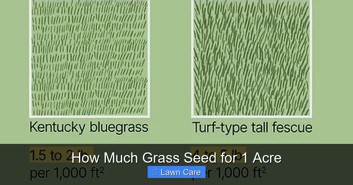 How Much Grass Seed for 1 Acre