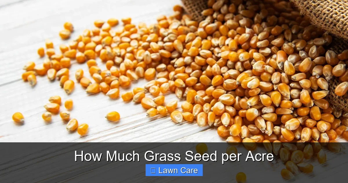 How Much Grass Seed per Acre