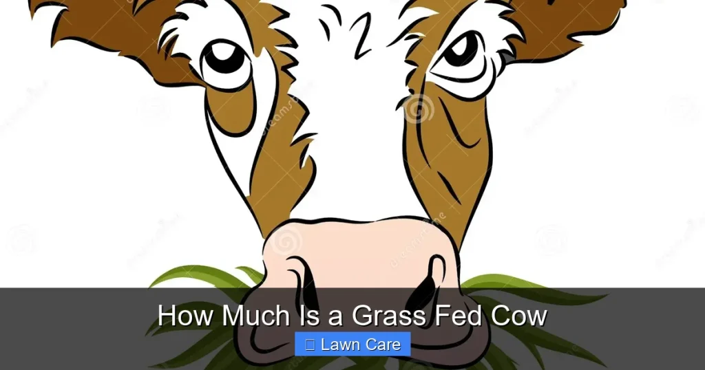 How Much Is a Grass Fed Cow
