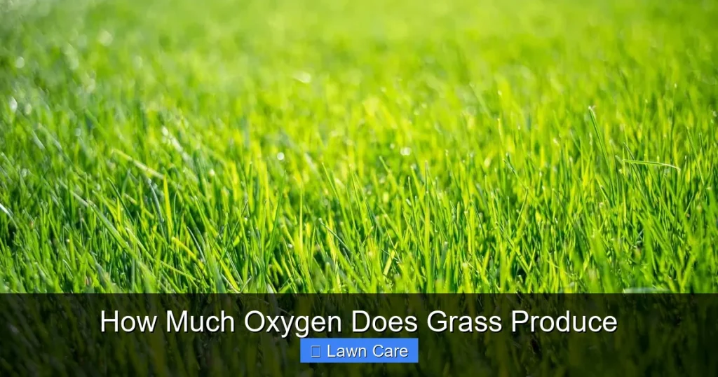 How Much Oxygen Does Grass Produce
