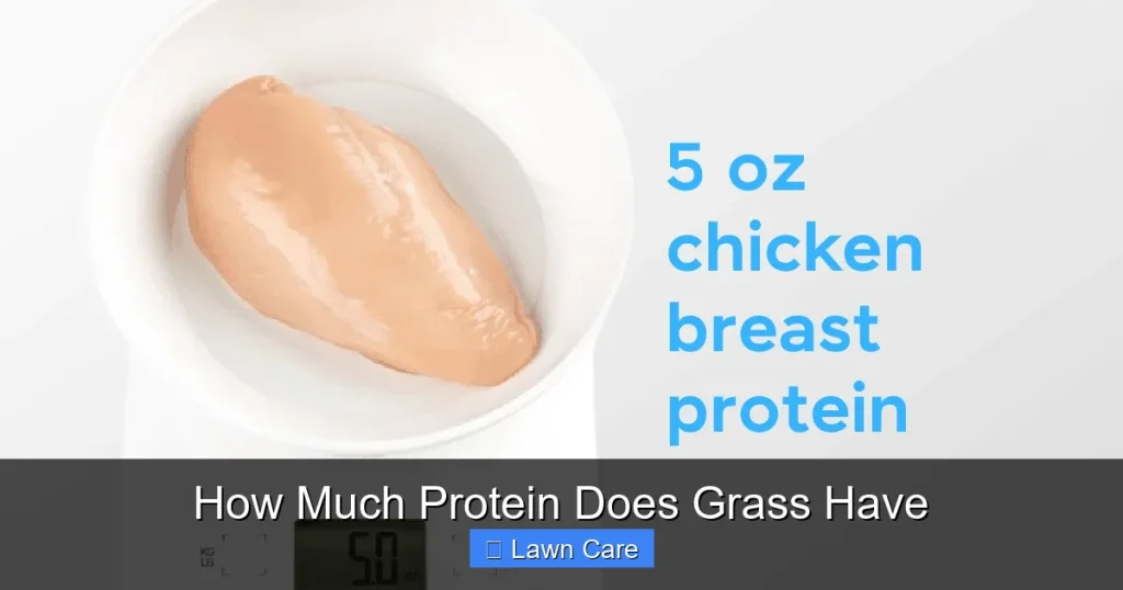 How Much Protein Does Grass Have