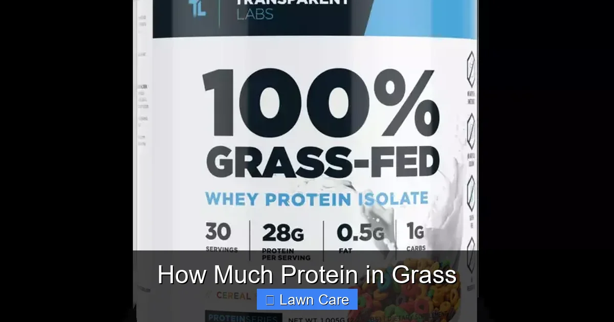 How Much Protein in Grass