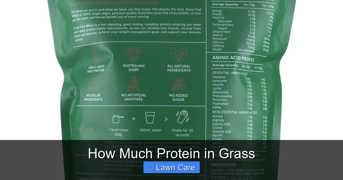 How Much Protein in Grass