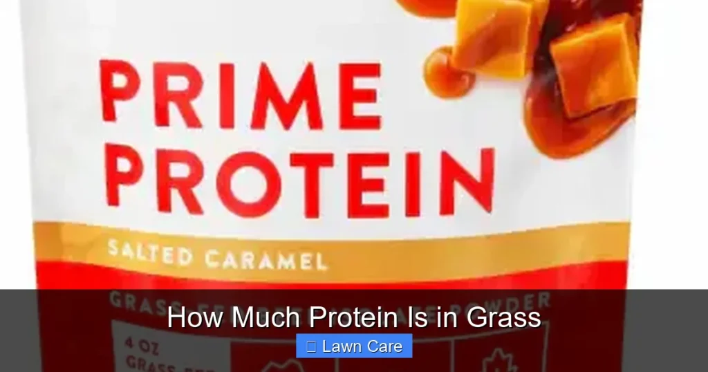 How Much Protein Is in Grass