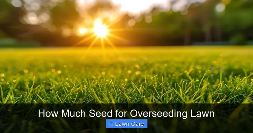How Much Seed for Overseeding Lawn