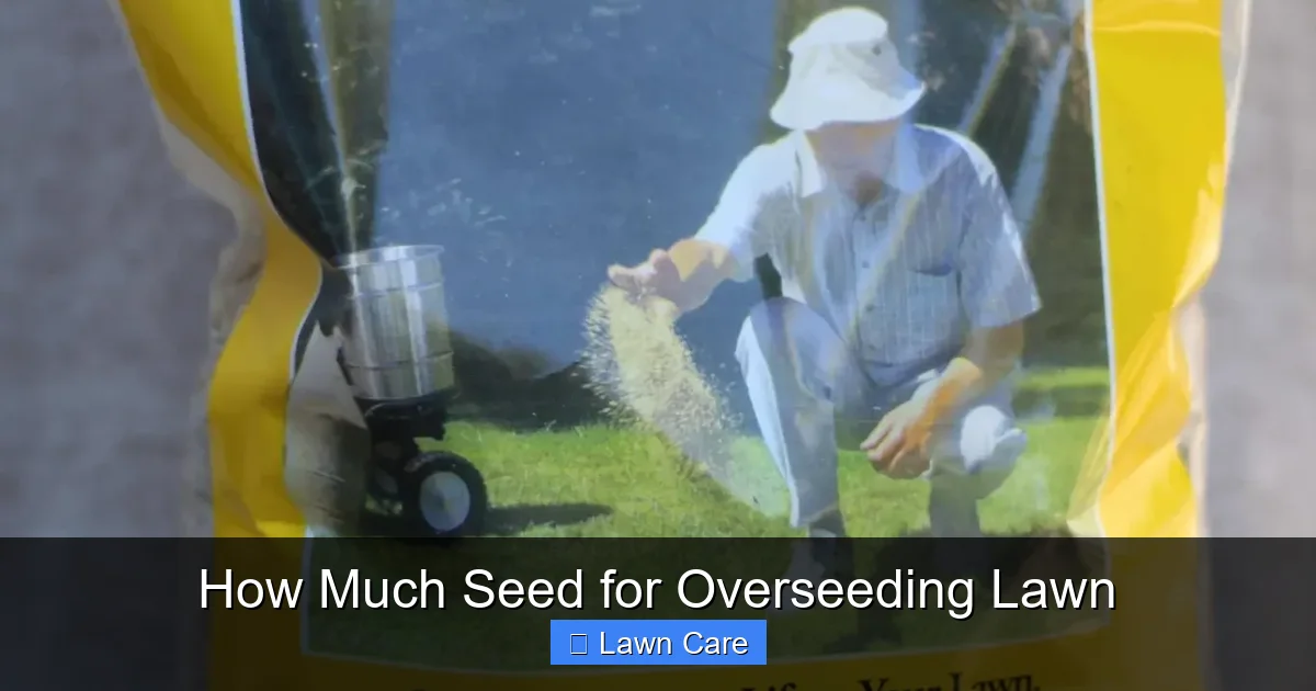 How Much Seed for Overseeding Lawn